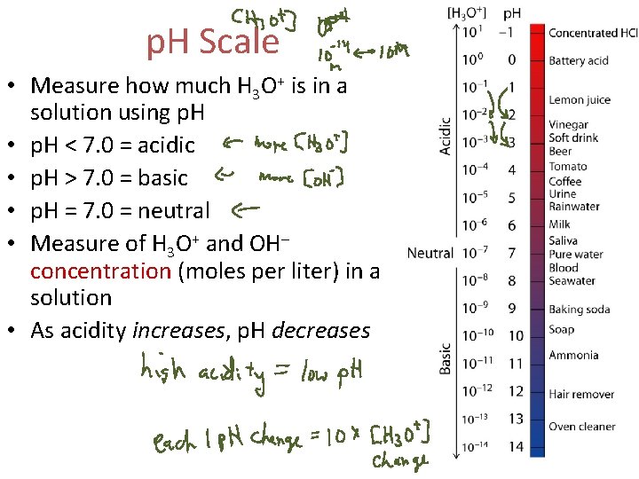 p. H Scale • Measure how much H 3 O+ is in a solution