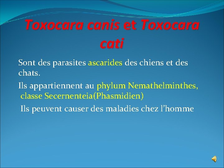 Toxocara canis et Toxocara cati Sont des parasites ascarides chiens et des chats. Ils