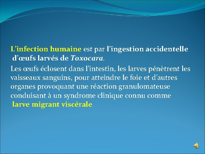 L’infection humaine est par l’ingestion accidentelle d’œufs larvés de Toxocara. Les œufs éclosent dans