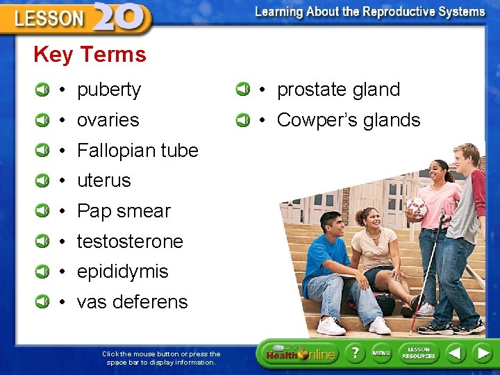 Key Terms • puberty • prostate gland • ovaries • Cowper’s glands • Fallopian