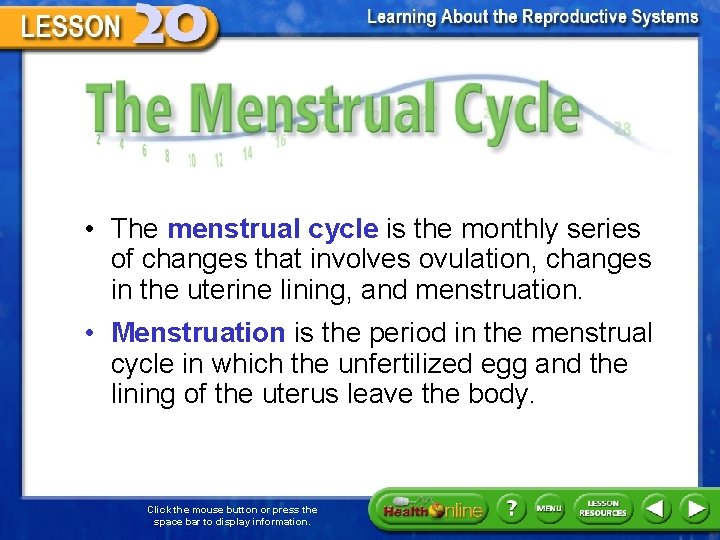 The Menstrual Cycle • The menstrual cycle is the monthly series of changes that