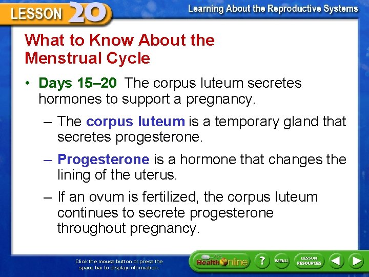 What to Know About the Menstrual Cycle • Days 15– 20 The corpus luteum