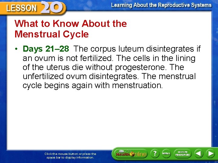 What to Know About the Menstrual Cycle • Days 21– 28 The corpus luteum