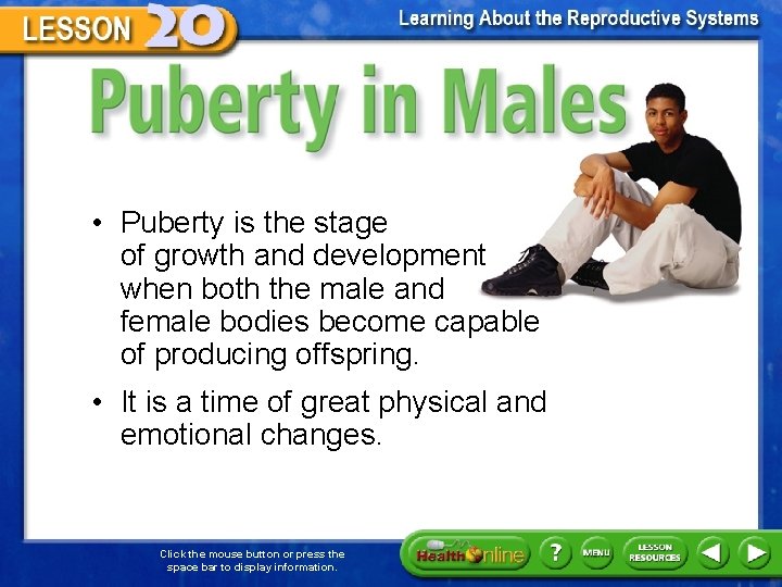 Puberty in Males • Puberty is the stage of growth and development when both