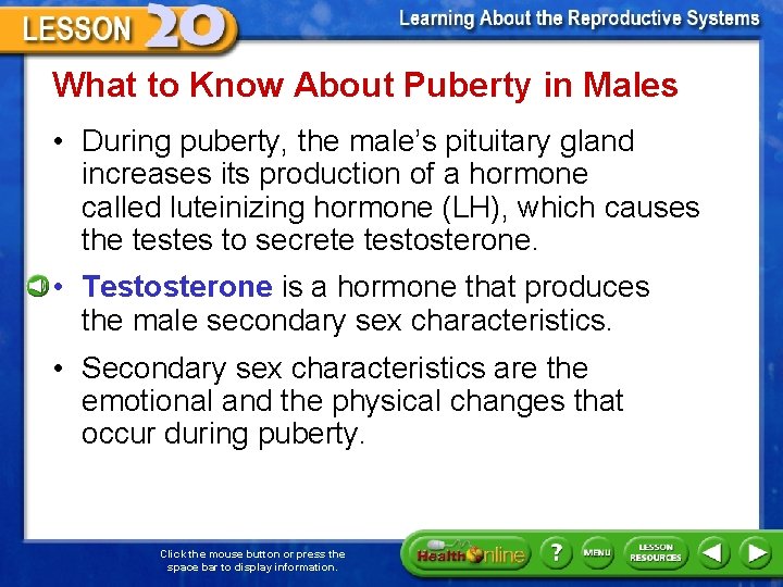 What to Know About Puberty in Males • During puberty, the male’s pituitary gland