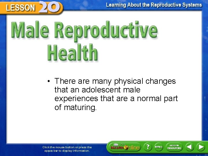 Male Reproductive Health • There are many physical changes that an adolescent male experiences