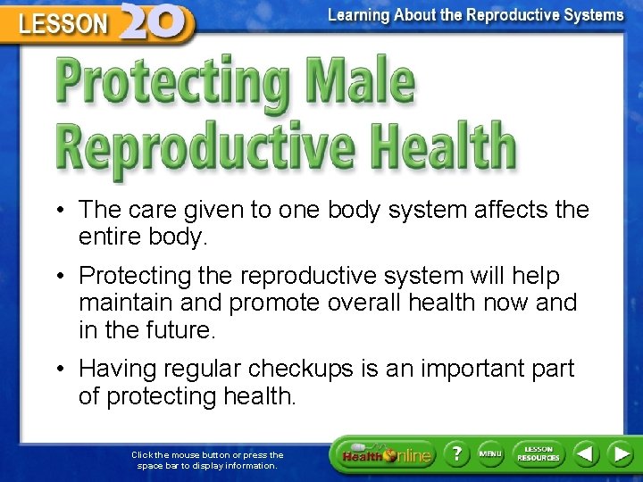 Protecting Male Reproductive Health • The care given to one body system affects the