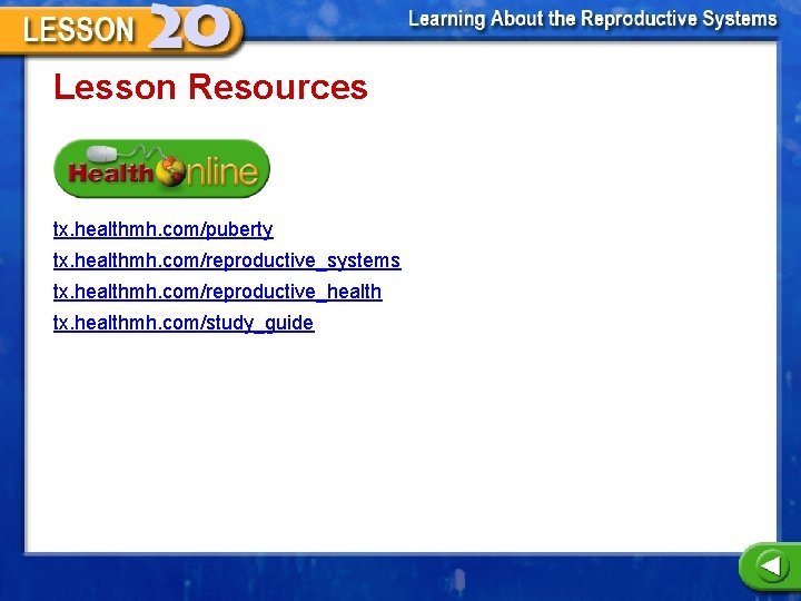 Lesson Resources tx. healthmh. com/puberty tx. healthmh. com/reproductive_systems tx. healthmh. com/reproductive_health tx. healthmh. com/study_guide