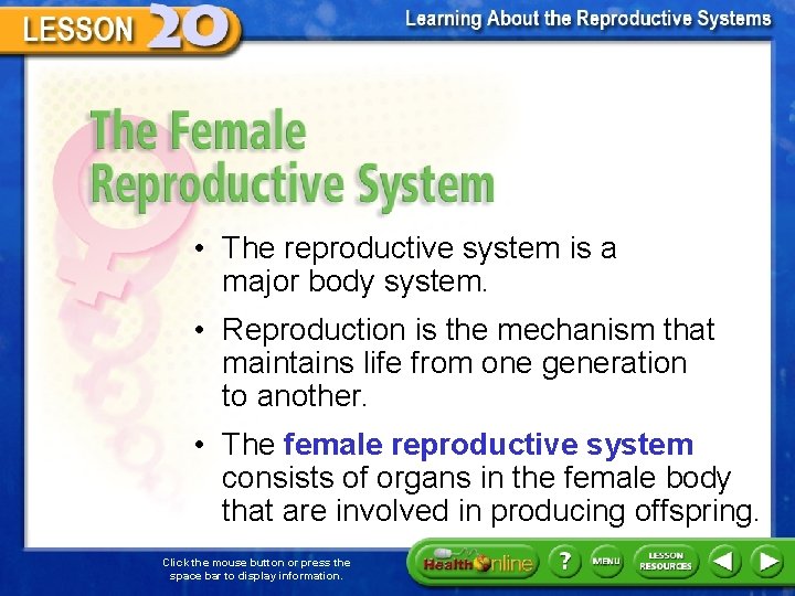 The Female Reproductive System • The reproductive system is a major body system. •