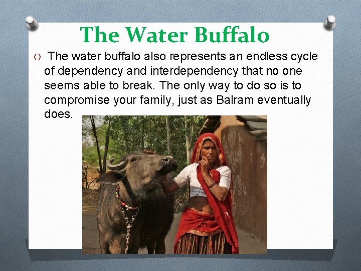 The Water Buffalo O The water buffalo also represents an endless cycle of dependency
