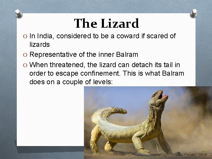 The Lizard O In India, considered to be a coward if scared of lizards