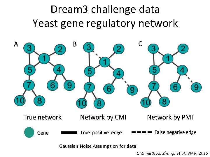 Dream 3 challenge data Yeast gene regulatory network Gaussian Noise Assumption for data CMI