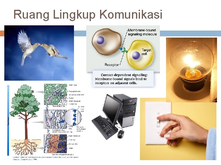 Ruang Lingkup Komunikasi 