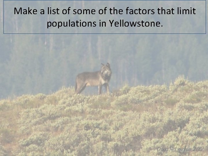 Make a list of some of the factors that limit populations in Yellowstone. 