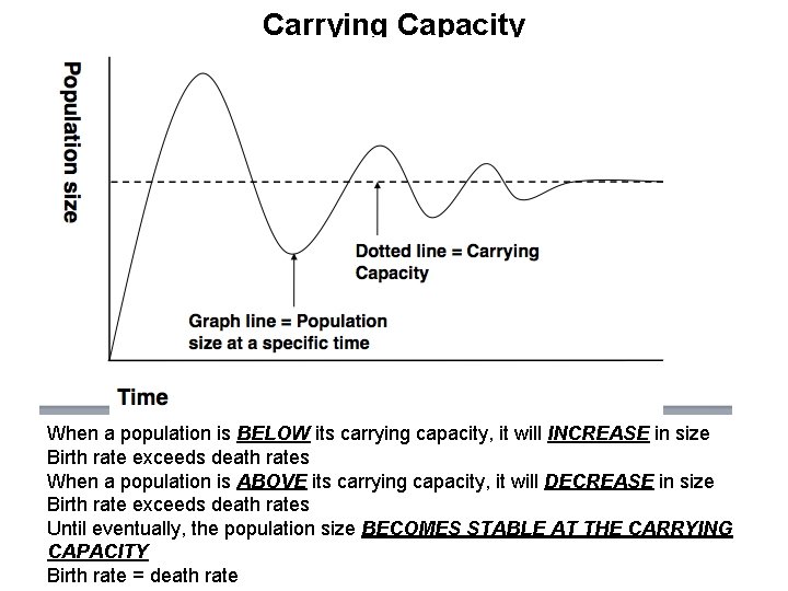 Carrying Capacity When a population is BELOW its carrying capacity, it will INCREASE in