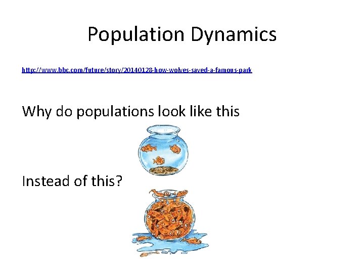 Population Dynamics http: //www. bbc. com/future/story/20140128 -how-wolves-saved-a-famous-park Why do populations look like this Instead