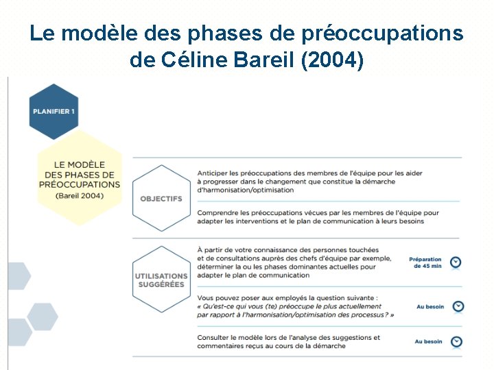 Le modèle des phases de préoccupations de Céline Bareil (2004) 