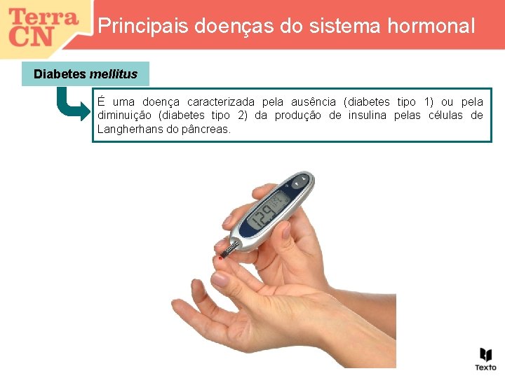 Principais doenças do sistema hormonal Diabetes mellitus É uma doença caracterizada pela ausência (diabetes