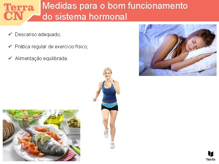 Medidas para o bom funcionamento do sistema hormonal ü Descanso adequado; ü Prática regular