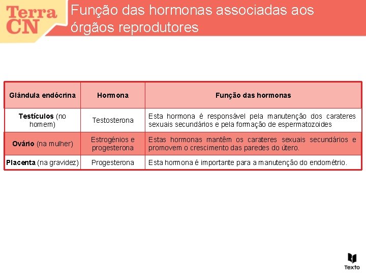 Função das hormonas associadas aos órgãos reprodutores Glândula endócrina Hormona Função das hormonas Testículos