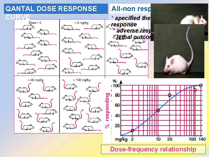 All-non responses QANTAL DOSE RESPONSE CURVE % responding * specified therap. response * adverse