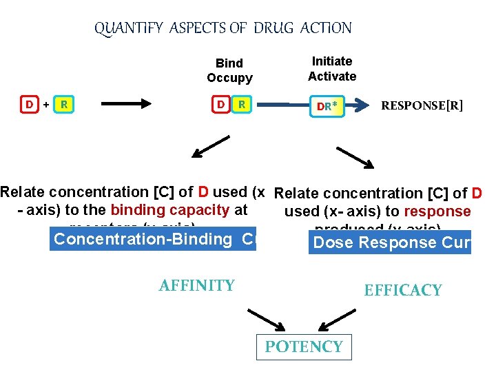 QUANTIFY ASPECTS OF DRUG ACTION Initiate Activate Bind Occupy D + R DR* RESPONSE[R]