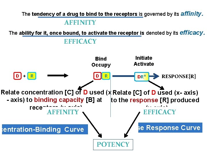 The tendency of a drug to bind to the receptors is governed by its