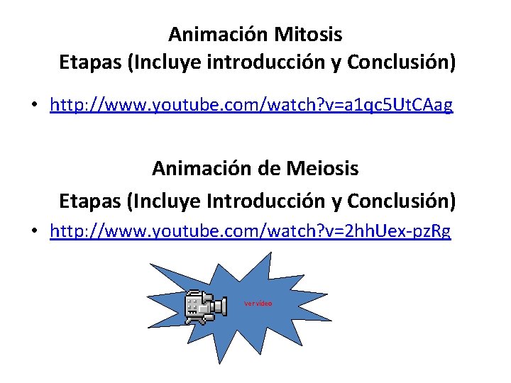 Animación Mitosis Etapas (Incluye introducción y Conclusión) • http: //www. youtube. com/watch? v=a 1