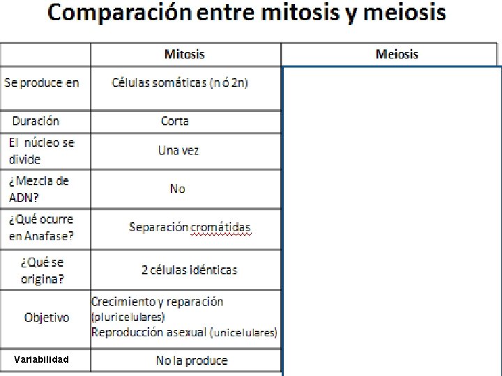 Variabilidad 