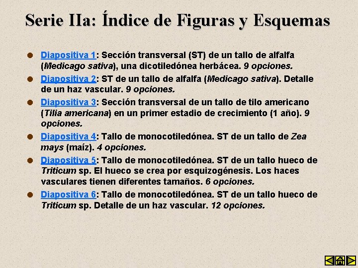 Serie IIa: Índice de Figuras y Esquemas l l l Diapositiva 1: Sección transversal