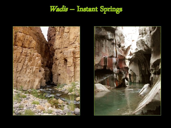 Wadis – Instant Springs 