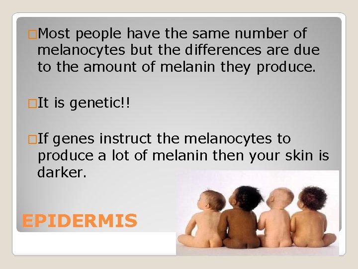 �Most people have the same number of melanocytes but the differences are due to