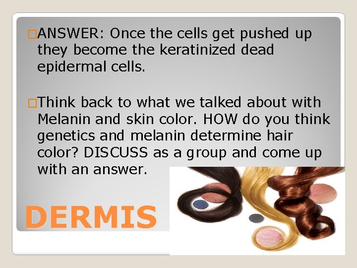 �ANSWER: Once the cells get pushed up they become the keratinized dead epidermal cells.