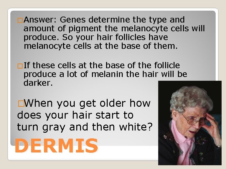 �Answer: Genes determine the type and amount of pigment the melanocyte cells will produce.