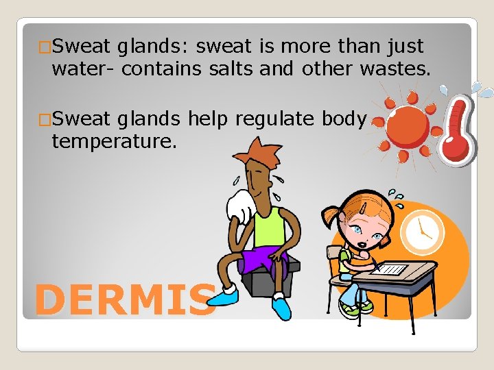 �Sweat glands: sweat is more than just water- contains salts and other wastes. �Sweat