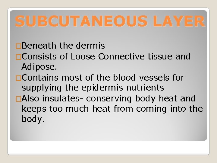 SUBCUTANEOUS LAYER �Beneath the dermis �Consists of Loose Connective tissue and Adipose. �Contains most
