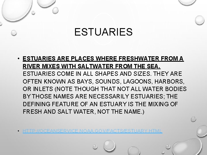 ESTUARIES • ESTUARIES ARE PLACES WHERE FRESHWATER FROM A RIVER MIXES WITH SALTWATER FROM