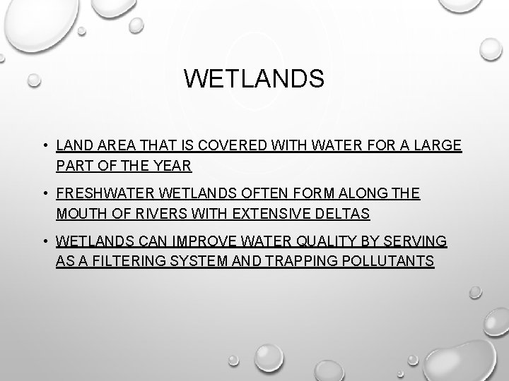 WETLANDS • LAND AREA THAT IS COVERED WITH WATER FOR A LARGE PART OF