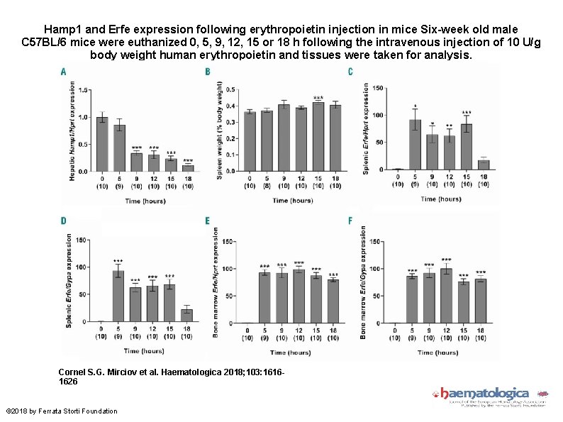 Hamp 1 and Erfe expression following erythropoietin injection in mice Six-week old male C