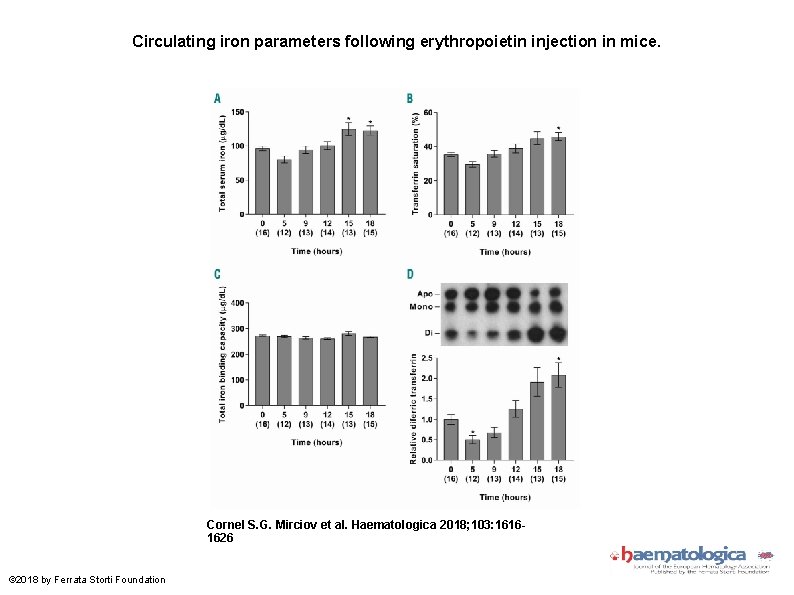 Circulating iron parameters following erythropoietin injection in mice. Cornel S. G. Mirciov et al.