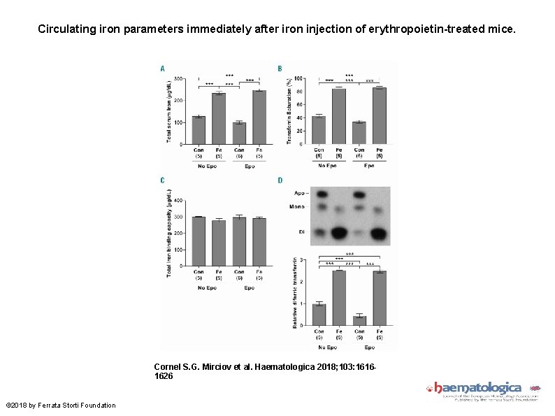 Circulating iron parameters immediately after iron injection of erythropoietin-treated mice. Cornel S. G. Mirciov