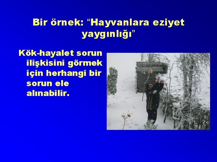 Bir örnek: “Hayvanlara eziyet yaygınlığı” Kök-hayalet sorun ilişkisini görmek için herhangi bir sorun ele