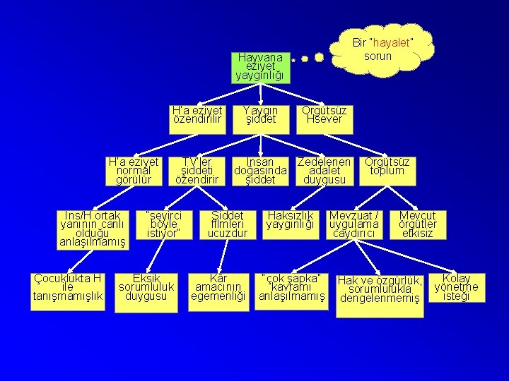 Bir “hayalet” sorun Hayvana eziyet yaygınlığı H’a eziyet özendirilir H’a eziyet normal görülür İns/H