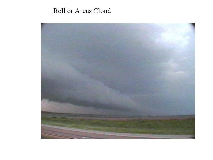 Roll or Arcus Cloud 