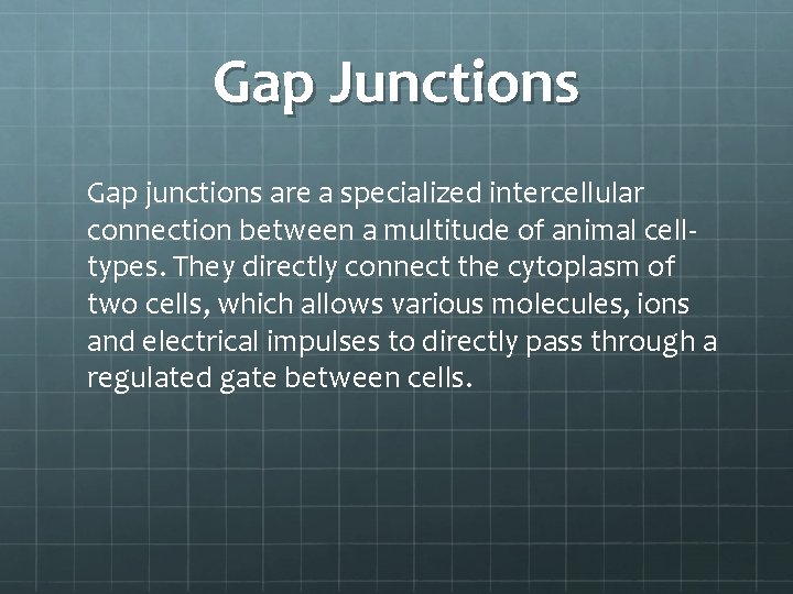 Gap Junctions Gap junctions are a specialized intercellular connection between a multitude of animal