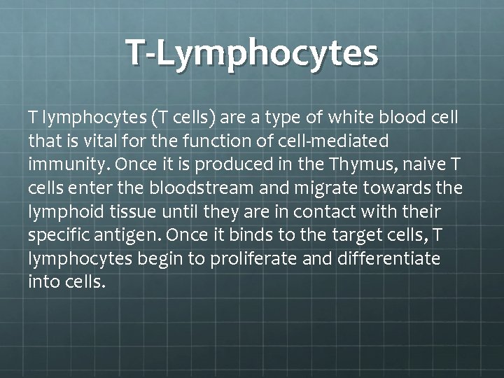 T-Lymphocytes T lymphocytes (T cells) are a type of white blood cell that is