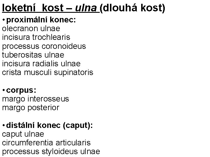 loketní kost – ulna (dlouhá kost) • proximální konec: olecranon ulnae incisura trochlearis processus loketní kost – ulna (dlouhá kost) • proximální konec: olecranon ulnae incisura trochlearis processus
