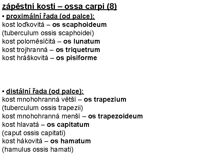 zápěstní kosti – ossa carpi (8) • proximální řada (od palce): kost loďkovitá – zápěstní kosti – ossa carpi (8) • proximální řada (od palce): kost loďkovitá –