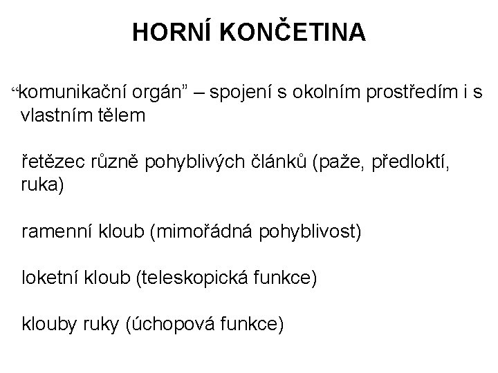 HORNÍ KONČETINA “komunikační orgán” – spojení s okolním prostředím i s vlastním tělem řetězec