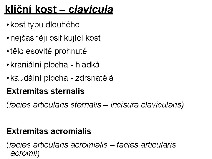 klíční kost – clavicula • kost typu dlouhého • nejčasněji osifikující kost • tělo klíční kost – clavicula • kost typu dlouhého • nejčasněji osifikující kost • tělo